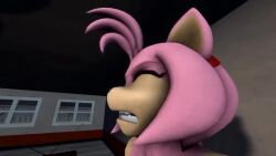 amy_rose, amy_rose_(warfaremchine), penny_(fortnite), fortnite, fortnite:_save_the_world