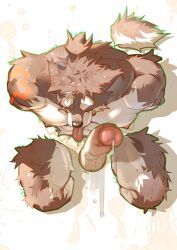 mgg_(character), anthro, band-aid, band-aid_on_face, bandage