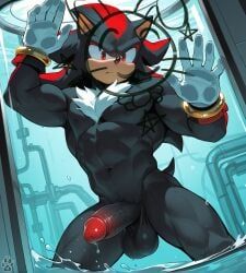 shadow_the_hedgehog, sega, sonic_the_hedgehog_(series), yiffinar, 5_fingers