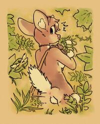 tansy, anthro, anus, backsack, balls