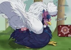 elizabeth_(rooster_fighter), wattles, adult_swim, cartoon_network, rooster_fighter