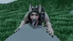 balls, blush, canine, canine_genitalia, canine_penis