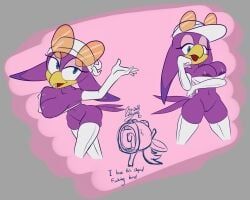 wave_the_swallow, sonic_(series), sonic_riders, sonic_the_hedgehog_(series), wayesh