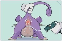 generation_1_pokemon, pokemon_(species), rattata, nintendo, pokemon