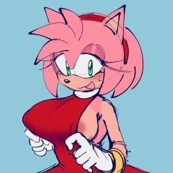 amy_rose, sonic_(series), sonic_the_hedgehog_(series), ninotrash, 1girls