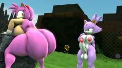 amy_rose, blaze_the_cat, sonic_(series), ironhawk, 1futa