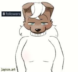 jaynoe_(artist), boobs_out, furry, removing_shirt, revealing_breasts