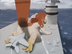 4_toes, accipitrid, accipitriform, aircraft, aircraft_carrier