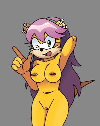 mina_mongoose, archie_comics, sega, sonic_the_hedgehog_(archie), sonic_the_hedgehog_(comics)