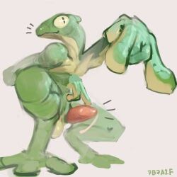7b7a2f, amphibian, anthro, balls, biped