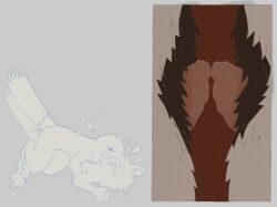 accipitrid, accipitriform, andromorph, andromorph/andromorph, anthro