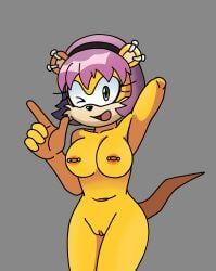 mina_mongoose, archie_comics, light_mobius, sega, sonic_the_hedgehog_(archie)