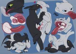 fury_(httyd), light_fury, night_fury, nubless, toothless