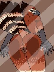 fish_birb, accipitrid, accipitriform, against_surface, anthro