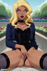 black_canary, dinah_lance, dc, dcau, justice_league