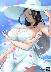nico_robin, one_piece, shonen_jump, shueisha, toei_animation
