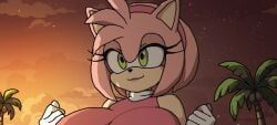 amy_rose, miles_tails_prower, tails_the_fox, sonic_(series), dendyart