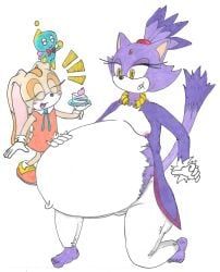 blaze_the_cat, cheese_the_chao, cream_the_rabbit, sega, sonic_(series)
