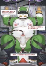 cai1448331577, anal, anal_sex, anthro, balls