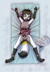slowderpyguy, ankles_tied, anthro, arctic_fox, areola
