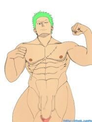 roronoa_zoro, one_piece, itsuki_amicitia, 1boy, abs
