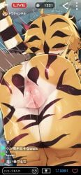 kohaku_(dagasi), original_character, kemokemo_town, original, dagasi