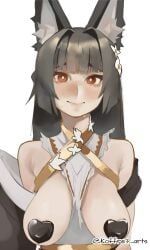 hoshimi_miyabi, hoyoverse, mihoyo, zenless_zone_zero, koffre3_arts