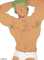 roronoa_zoro, one_piece, vidrith, 1boy, abs