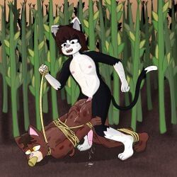 beans, bengal_cat, bondage, cat_furry, corn