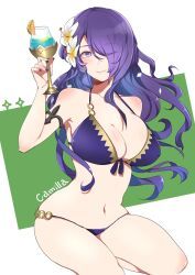 camilla_(fire_emblem), fire_emblem, fire_emblem_fates, fire_emblem_heroes, fire_emblem_warriors