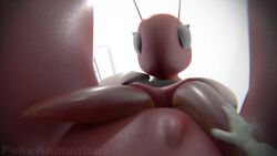 aviator_ant_(stupidroach), felix_animations, 1girls, ant, anthro