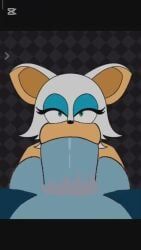 rouge_the_bat, sonic_the_hedgehog, beat_banger, capcut, sonic_(series)