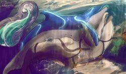 alamoya_(hollyvardia), animal_genitalia, aquatic, bodily_fluids, bottlenose_dolphin