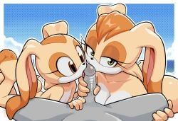 anon, cream_the_rabbit, vanilla_the_rabbit, sega, sonic_(series)