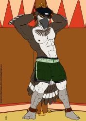 whitecolt_productions, abs, accipitriform, angry, anthro