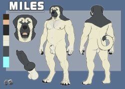 hufnaar, animal_genitalia, animal_penis, anthro, balls