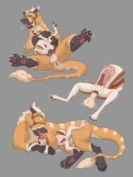 mythology, abdominal_bulge, aftercare, anal, anal_knotting