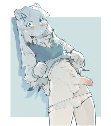 shoko_contane, anthro, bear, bottomless, briefs