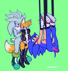 miles_prower, silver_the_hedgehog, sonic_the_hedgehog, sega, sonic_the_hedgehog_(series)