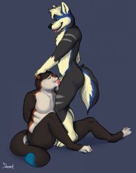 mintyderg, animal_genitalia, animal_penis, anthro, anthro_on_anthro