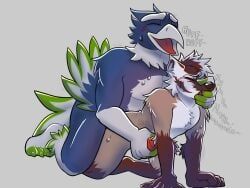 blitz_the_seahawk, nfl, seattle_seahawks, accipitrid, accipitriform