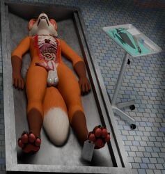 4_toes, anthro, autopsy, autopsy_table, balls