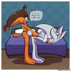 silver_the_hedgehog, sticks_the_badger, sticks_the_jungle_badger, sticks_the_tejon, sega
