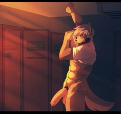 germain_(munkeesgomu), munkeesgomu, abs, anthro, balls