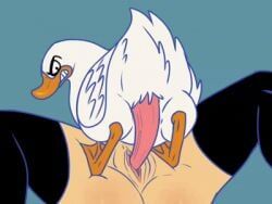 cajuzinho02, angry, angry_face, duck, female