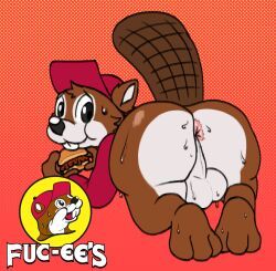 buc-ee, buc-ee's, lolpiss, 3_toes, anthro