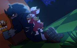 chip_(sonic), sonic_the_hedgehog, sonic_the_werehog, sega, sonic_(series)