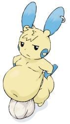 generation_3_pokemon, luke_(cyanu), minun, pokemon_(species), pokemon