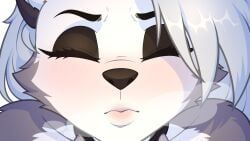 loona_(helluva_boss), hellaverse, helluva_boss, furmirui, anthro
