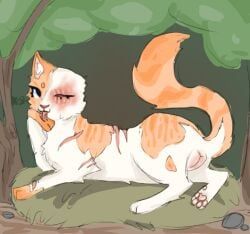 brightheart_(warriors), warriors_(book_series), warriors_(cats), yocanine, animal_genitalia